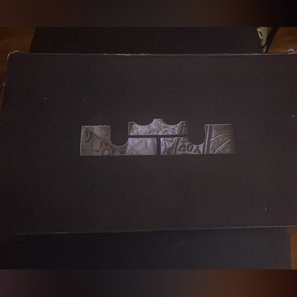 Lebrons Kick Air Jordans - Picture 2 of 4